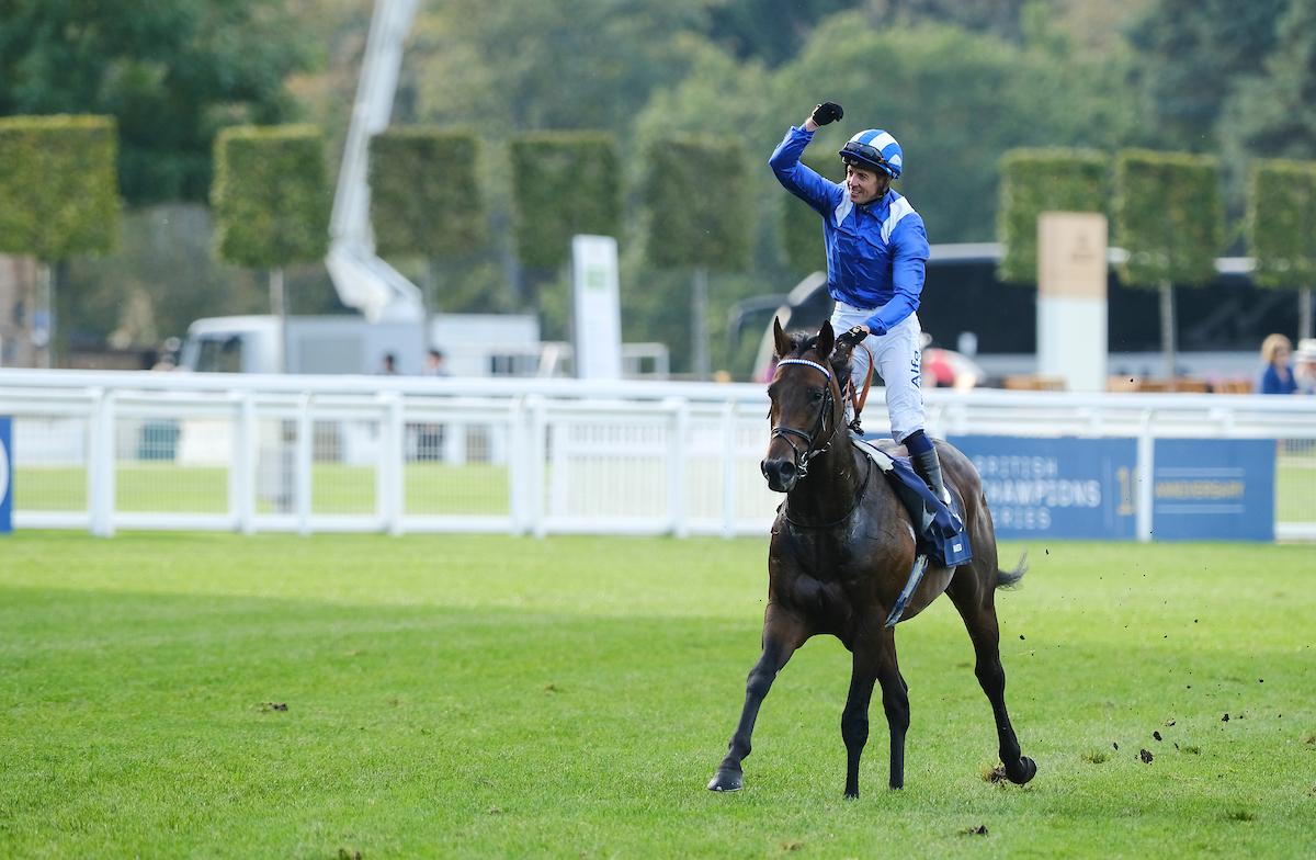 Baaeed wins the Queen Elizabeth II Stakes sponsored by QIPCO