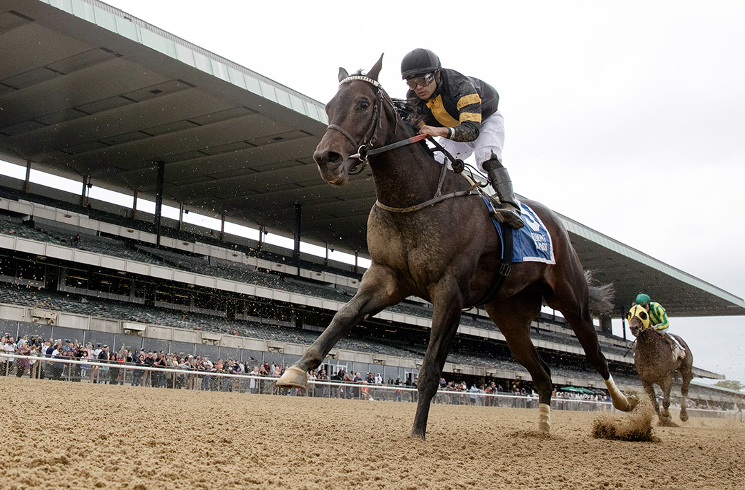 Baby Yoda finishes third in the Vosburgh Stakes at Saratoga