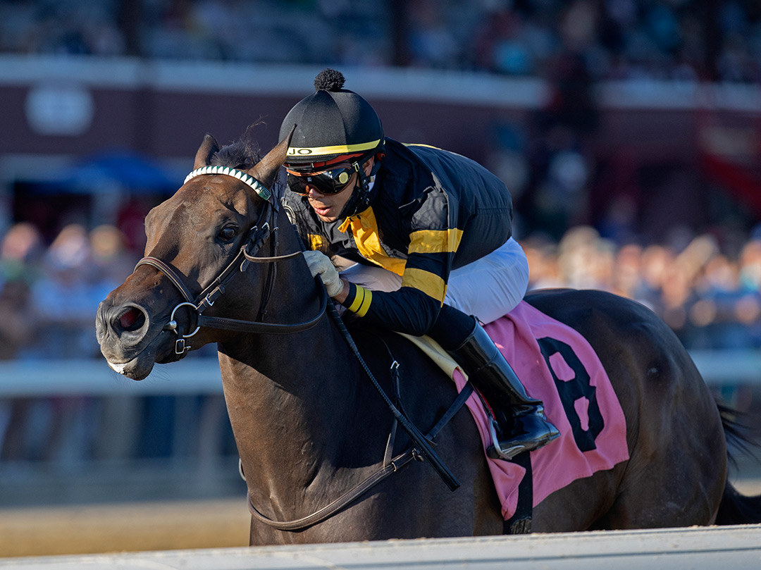 Baby Yoda wins a Sept. 4 allowance at Saratoga Race Course