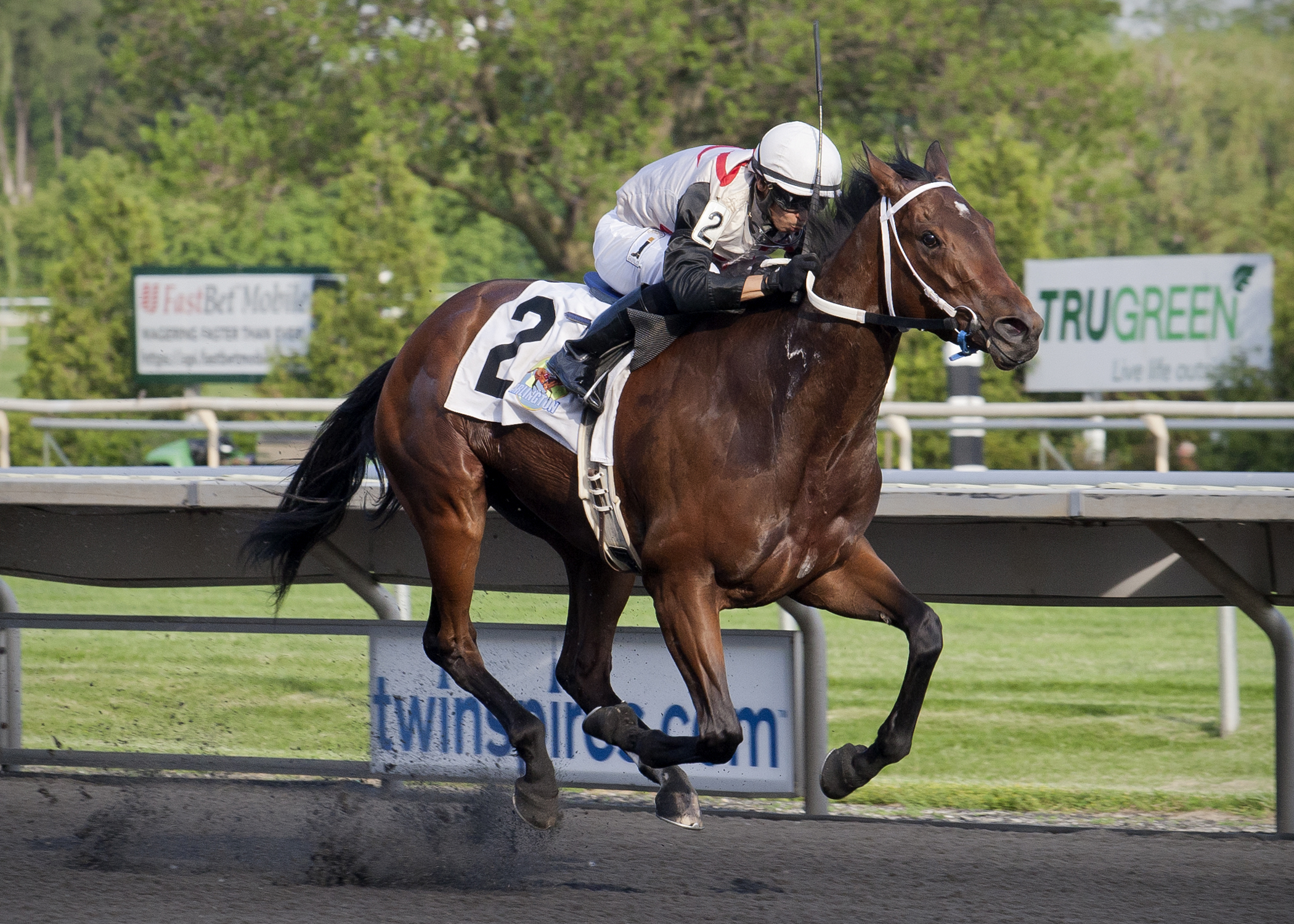 Babybluesbdancing wins the 2017 Purple Violet Stakes