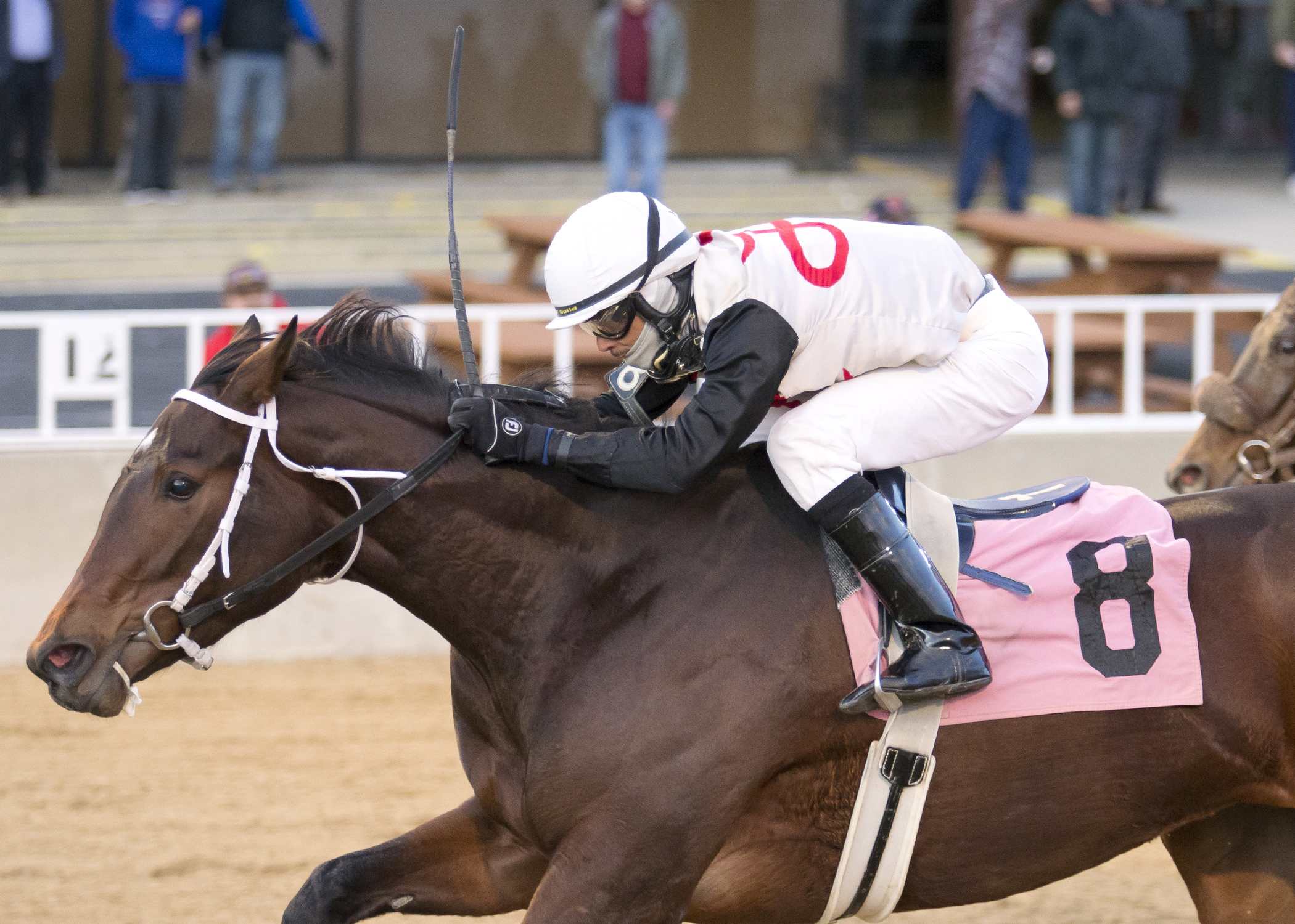 Babybluesdancing wins the Pat Whitworth Illinois Debutante