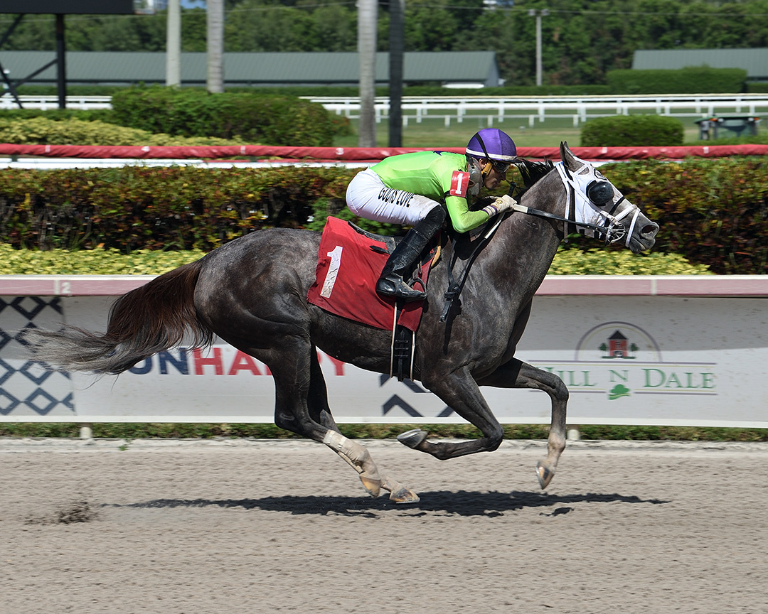 Baccarat Fashion wins a July 30 allowance optional claimer at Gulfstream