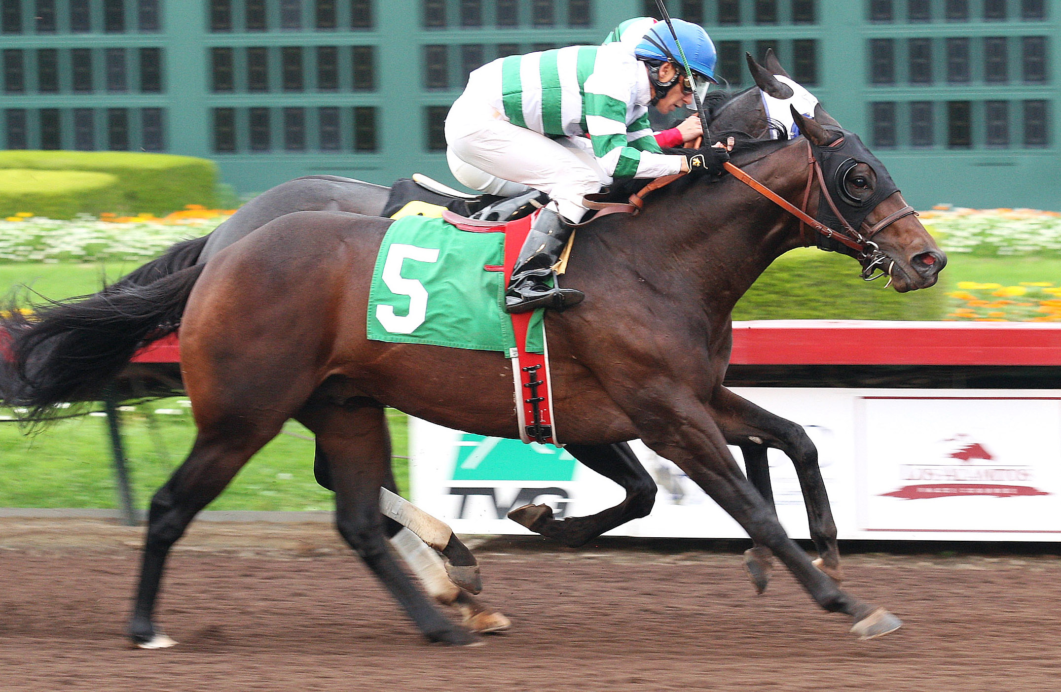 Baccelo wins a claiming race
