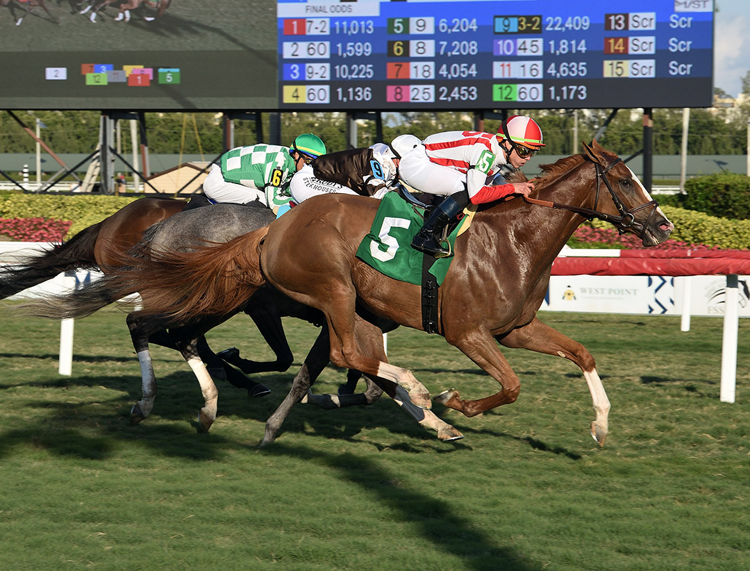 Bacchanalia wins a January 2020 allowance race at Gulfstream Park