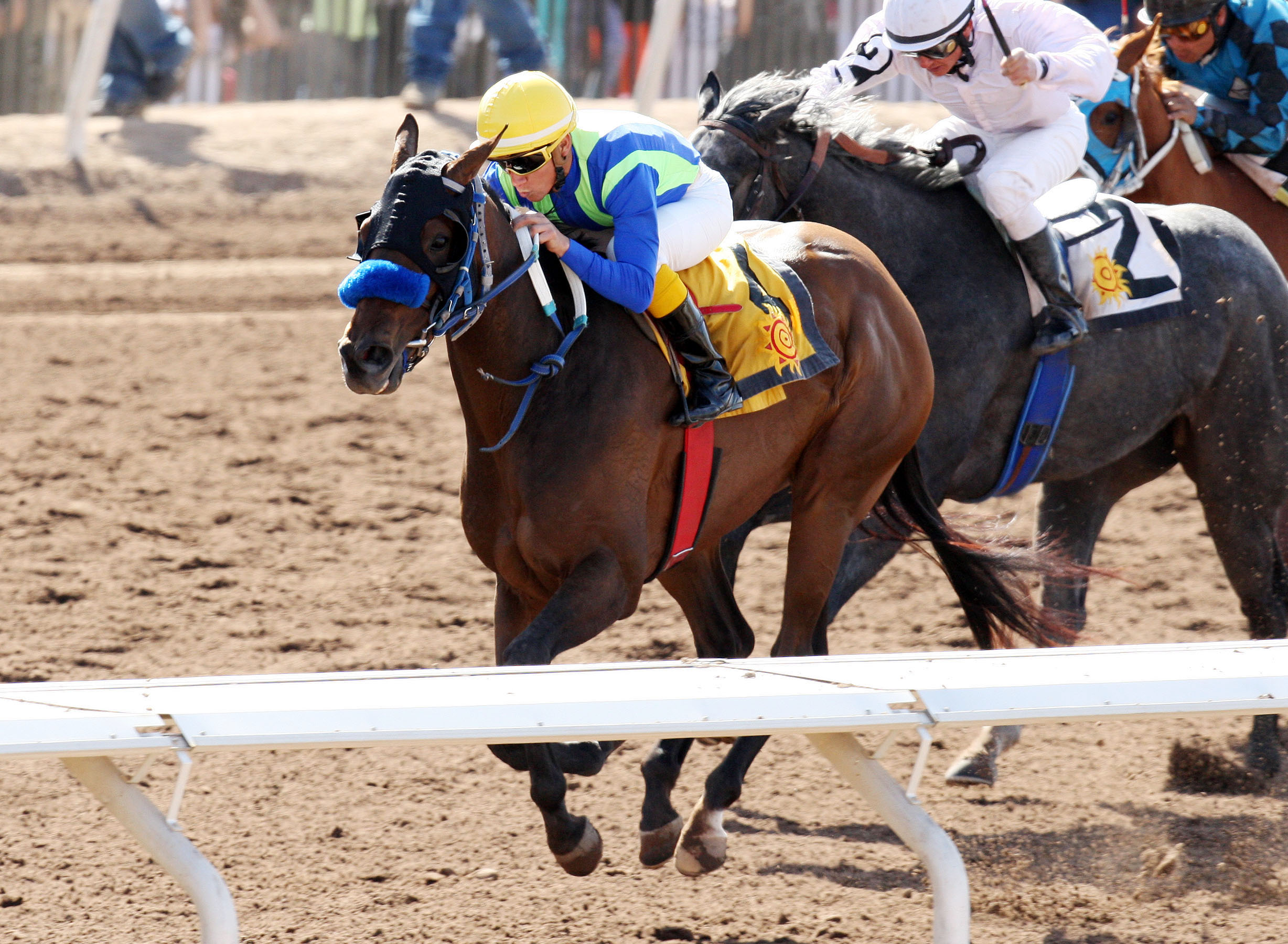 Back Seat Roll wins the 2013 New Mexico Breeders' Oaks