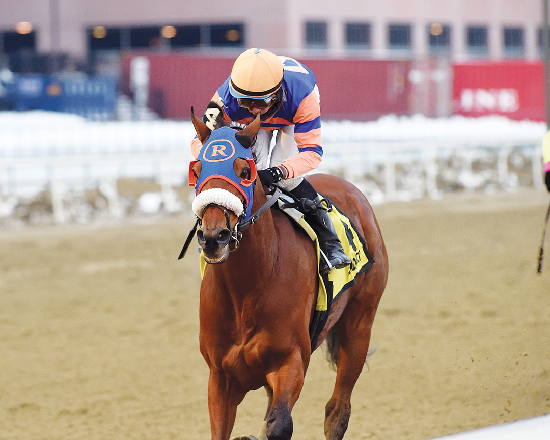Backsideofthemoon wins the 2020 Queens County Stakes at Aqueduct
