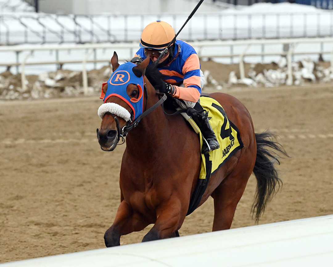 Backsideofthemoon wins the 2020 Queens County Stakes at Aqueduct