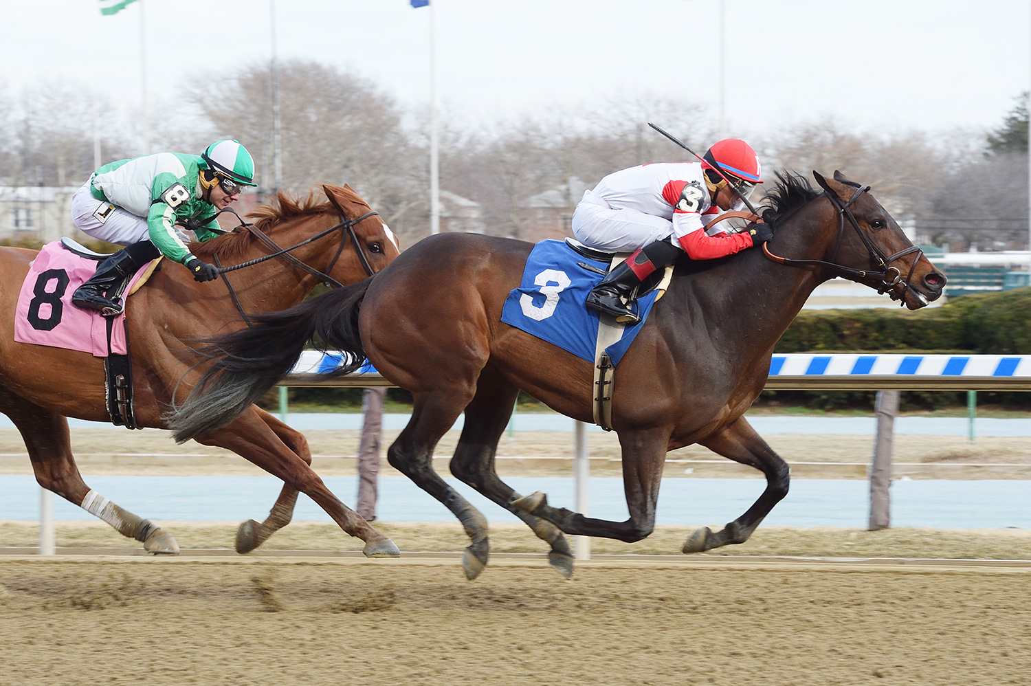 Backyard Heaven wins an March 17 allowance race