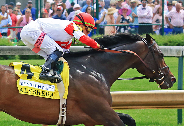 Backyard Heaven wins the 2018 Alysheba