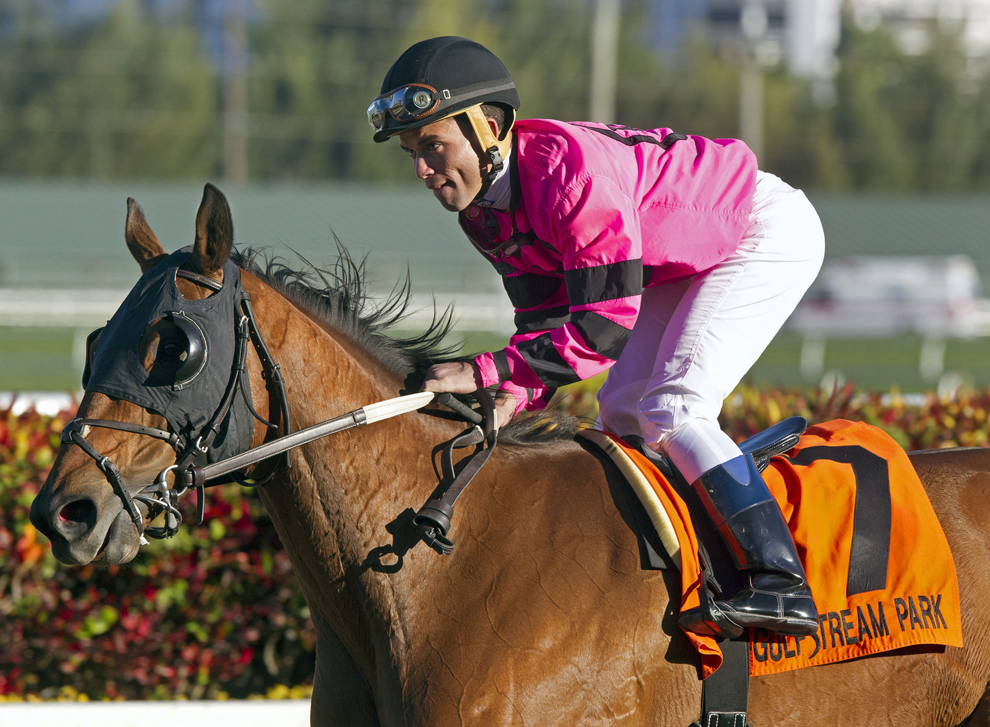 Bad Debt finishes third in the Florida Sunshine Millions Turf Stakes