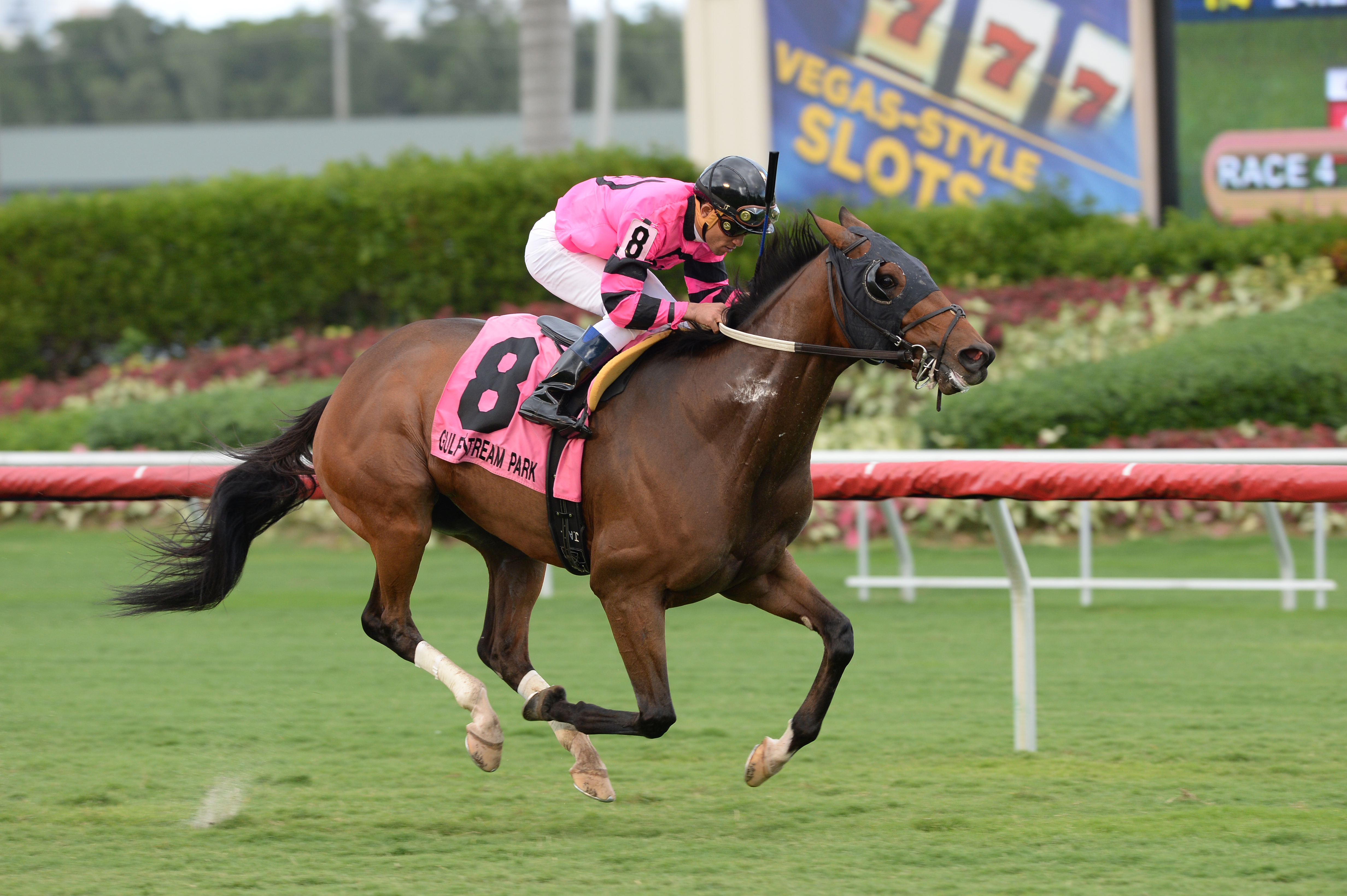 Bad Debt wins the Millions Distaff Preview