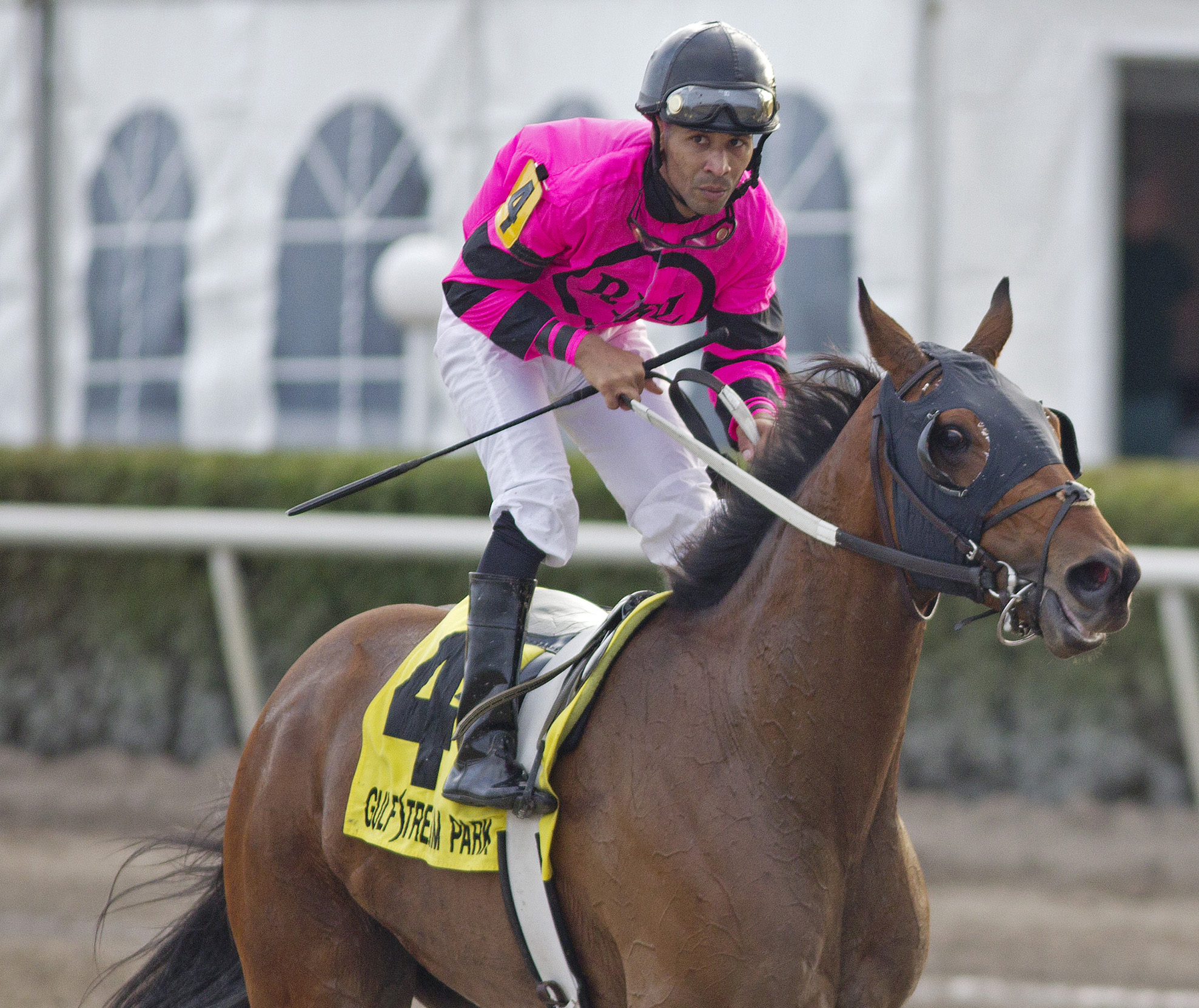 Bad Debt, Sunshine Millions Turf