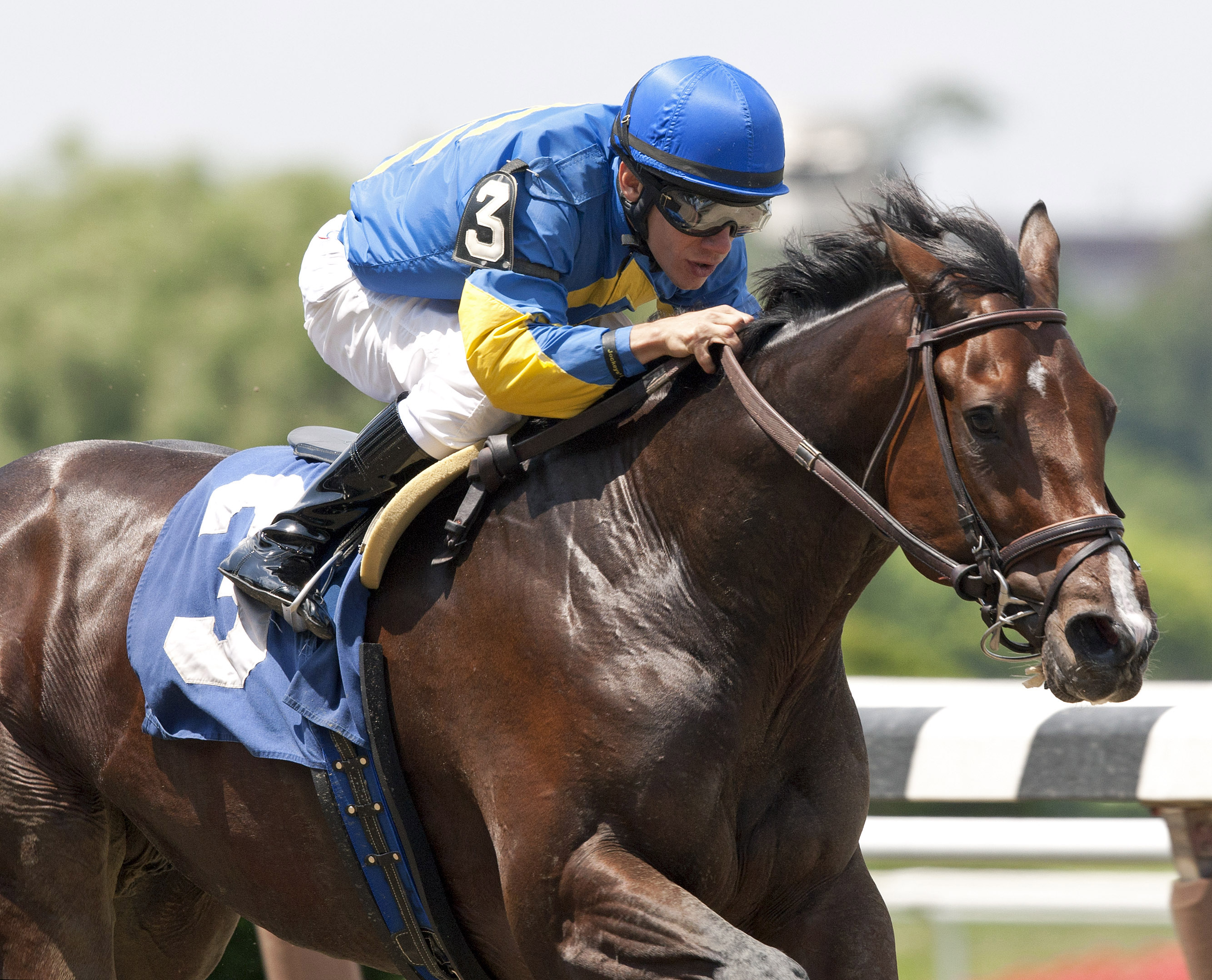 Bad Hombre, allowance race