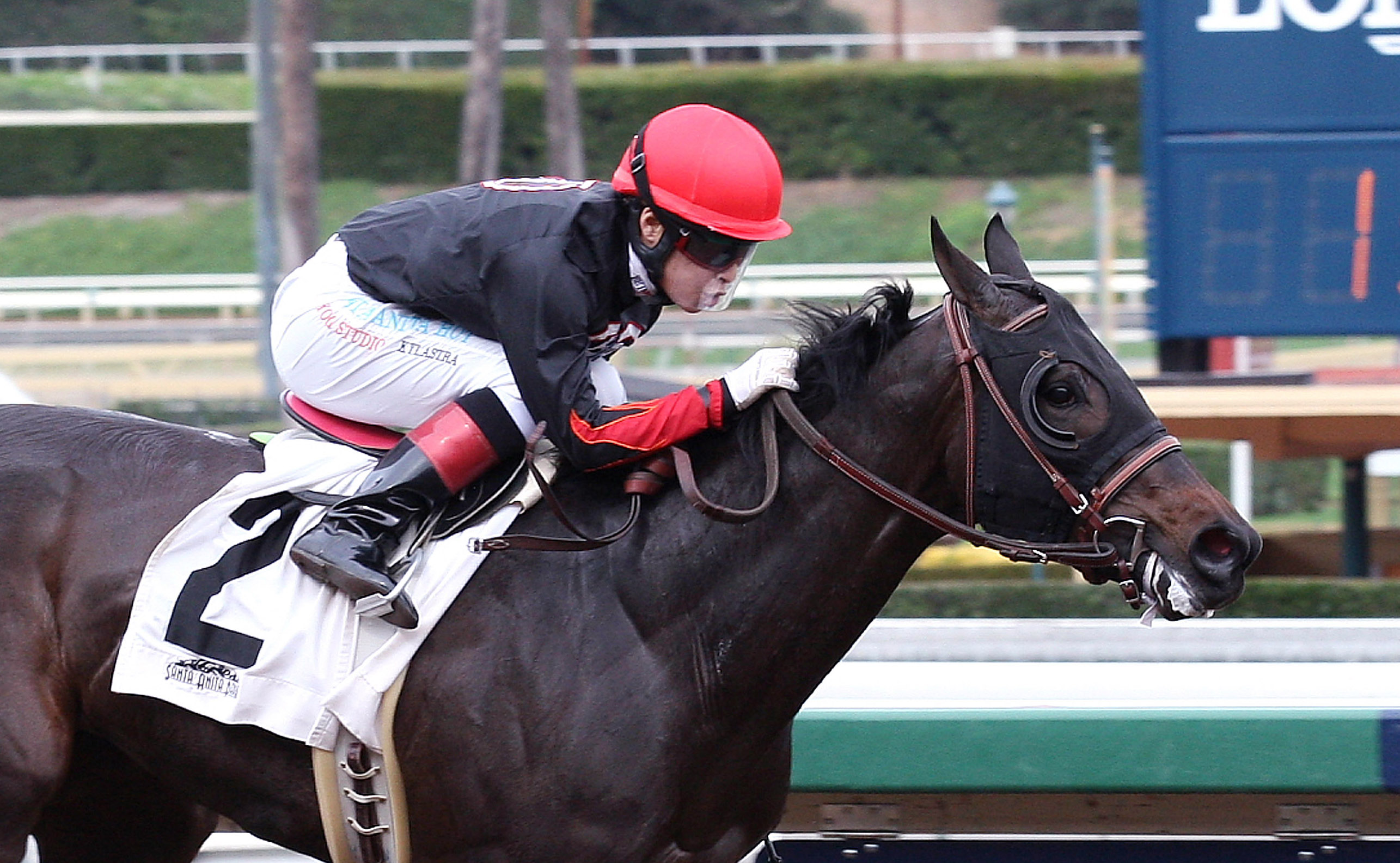 Bad Ju Ju wins an optional claimer