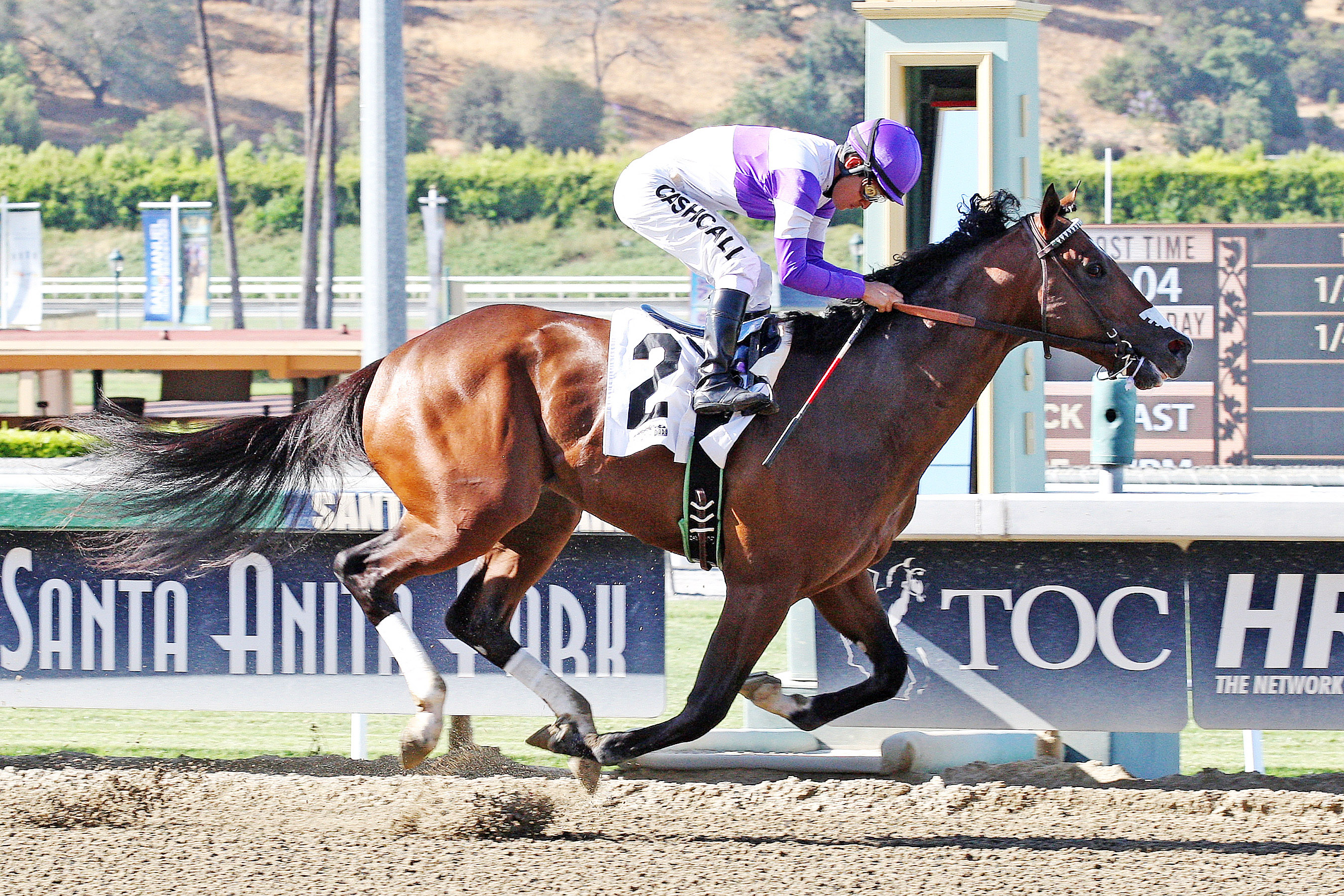 Bad Read Sanchez wins a maiden race