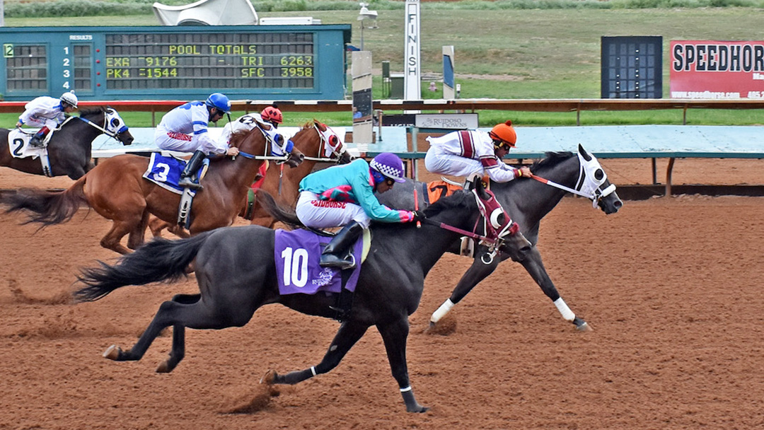 Bad Monkey wins the Ruidoso Downs Quarter Horse Challenge at Ruidoso Downs