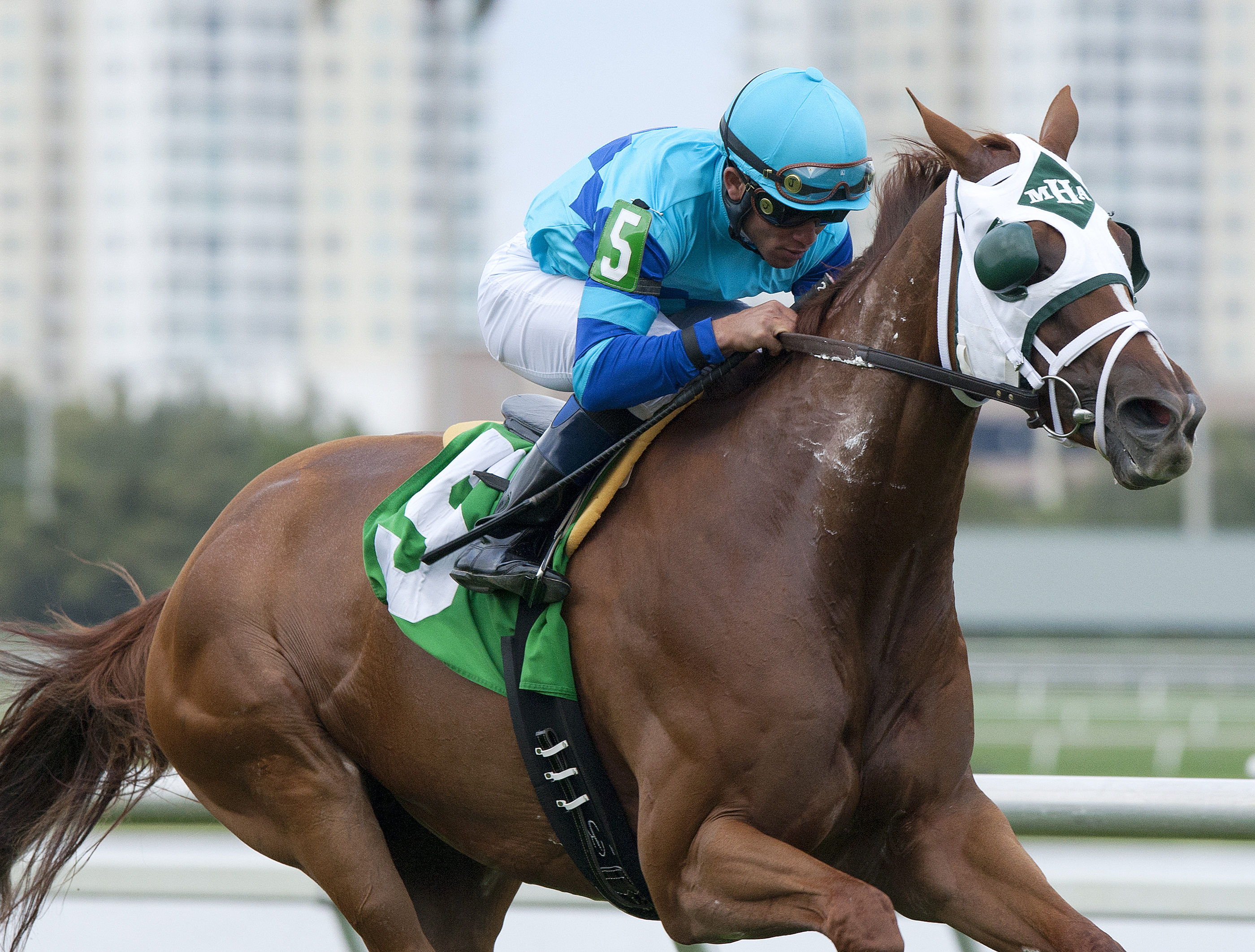 Baffle Me wins an optional claiming race