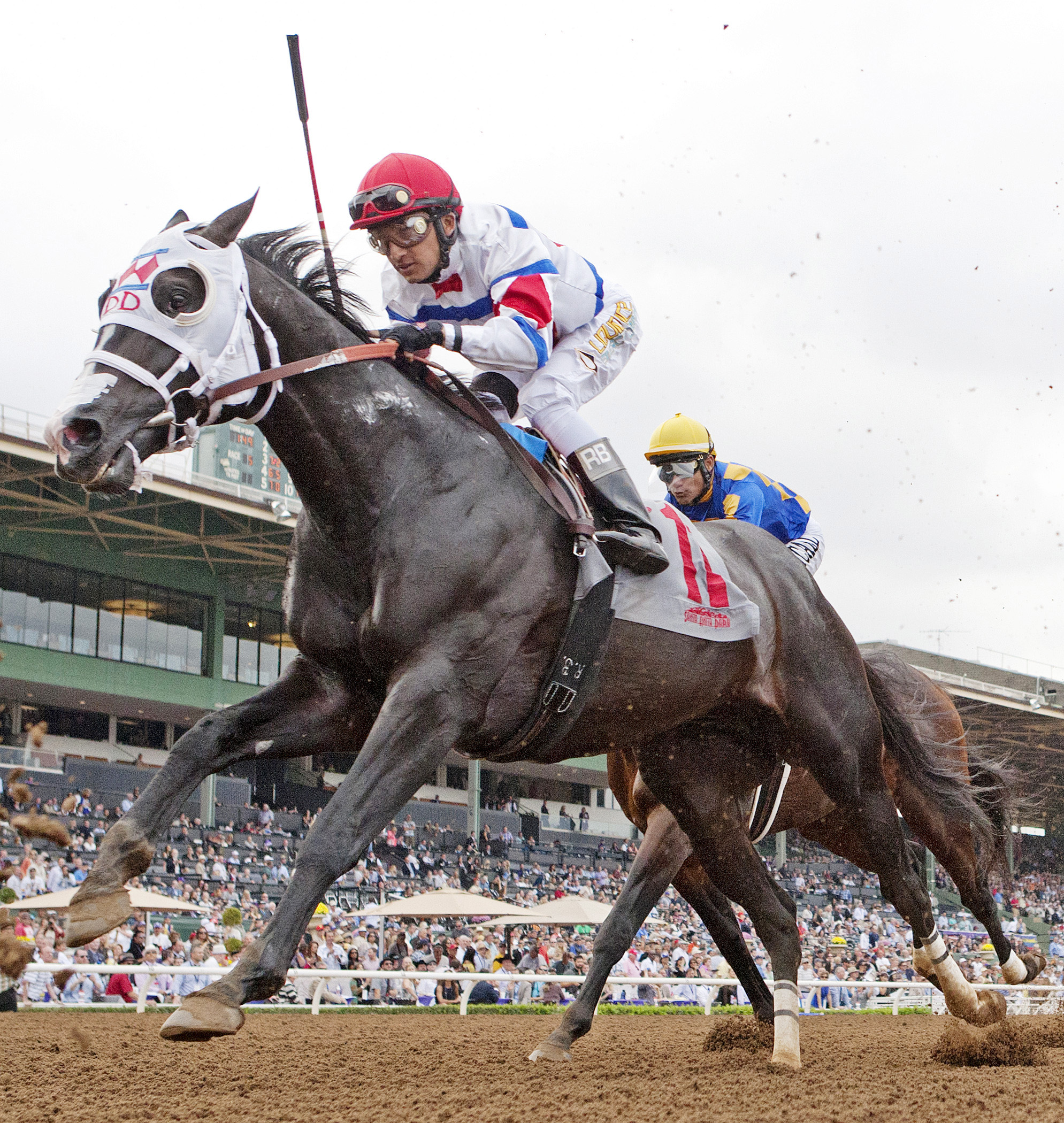 Bahamian Squall finishes second in the Damascus