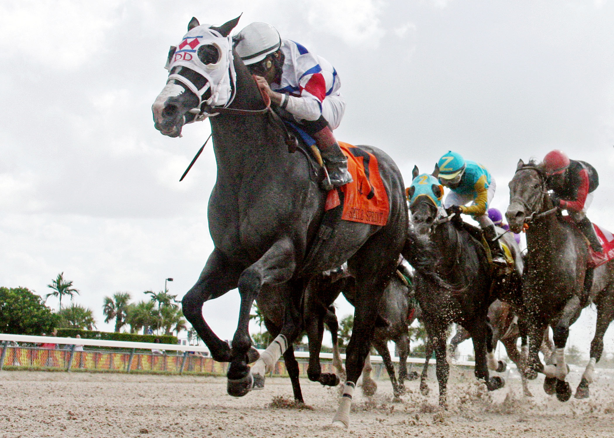Bahamian Squall wins the Smile Sprint Handicap