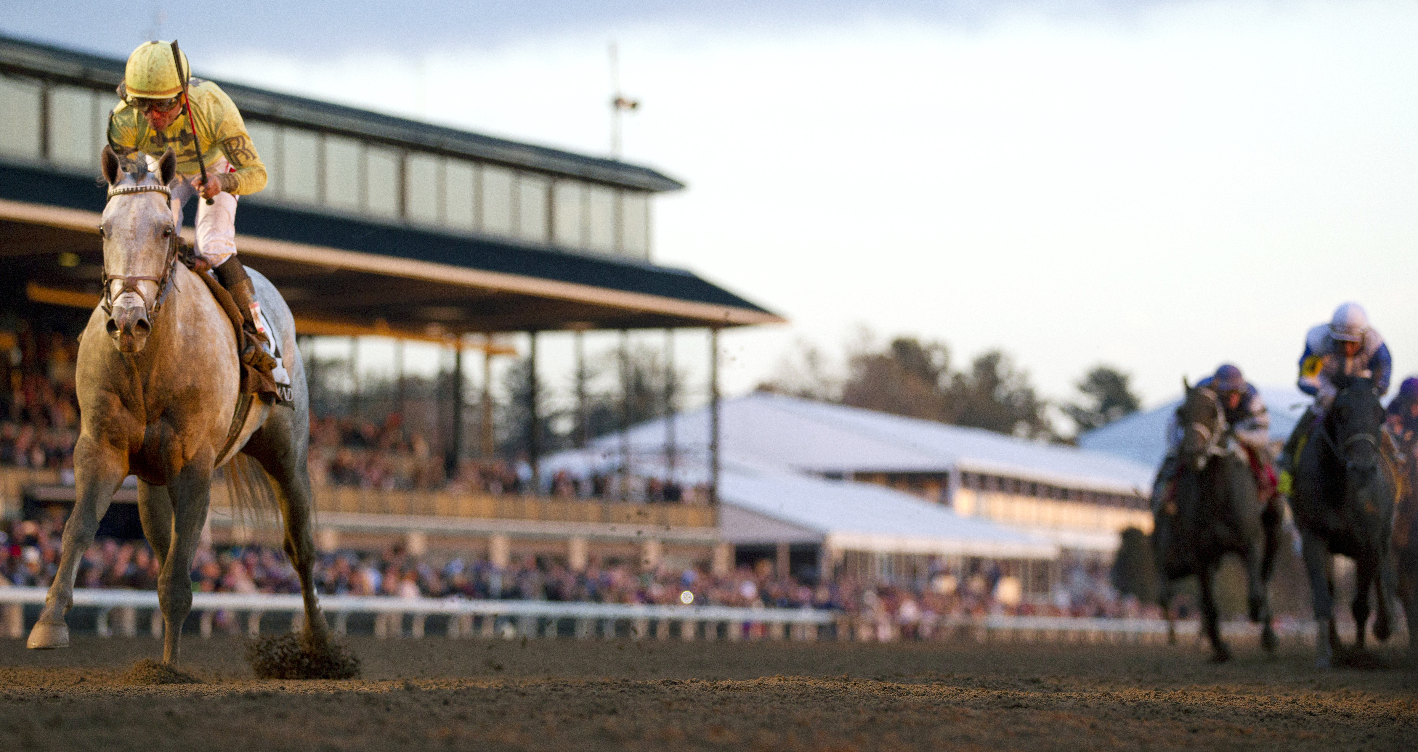 Bailoutbobby wins the Marathon Stakes
