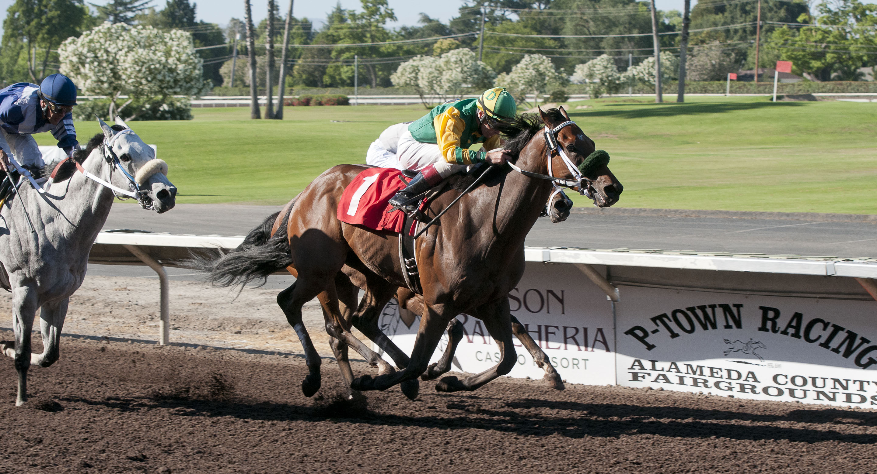 Bailouttheminister/Sam Whiting 7-4-12