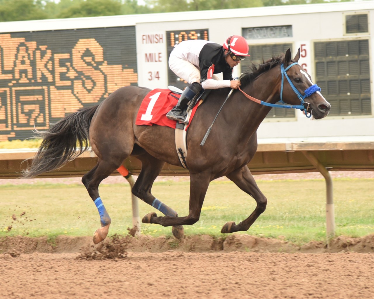 Baime-David Lopez 1,000 wins 8-17-2016 Finger Lakes