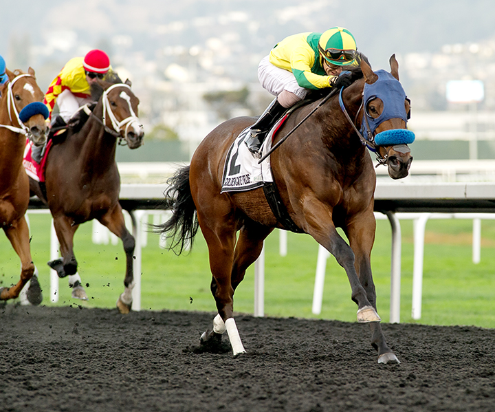 Baja Sur wins the 2019 Oakland Stakes at Golden Gate Fields