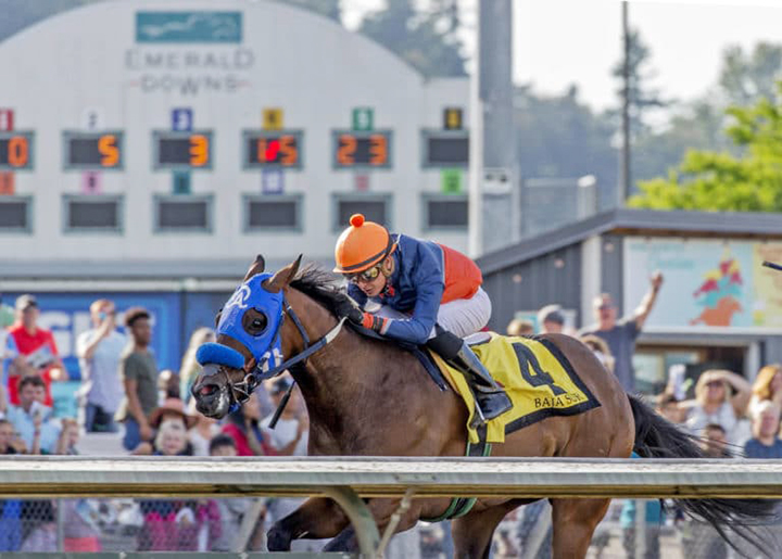 Baja Sur wins the 2019 Coca-Cola Stakes