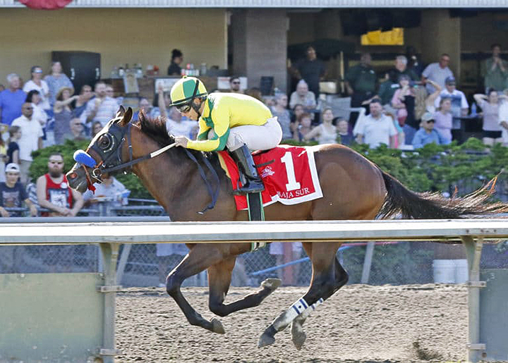 Baja Sur wins the 2018 King County Express Stakes