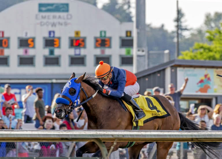 Baja Sur wins the 2019 Coca-Cola Stakes at Emerald Downs