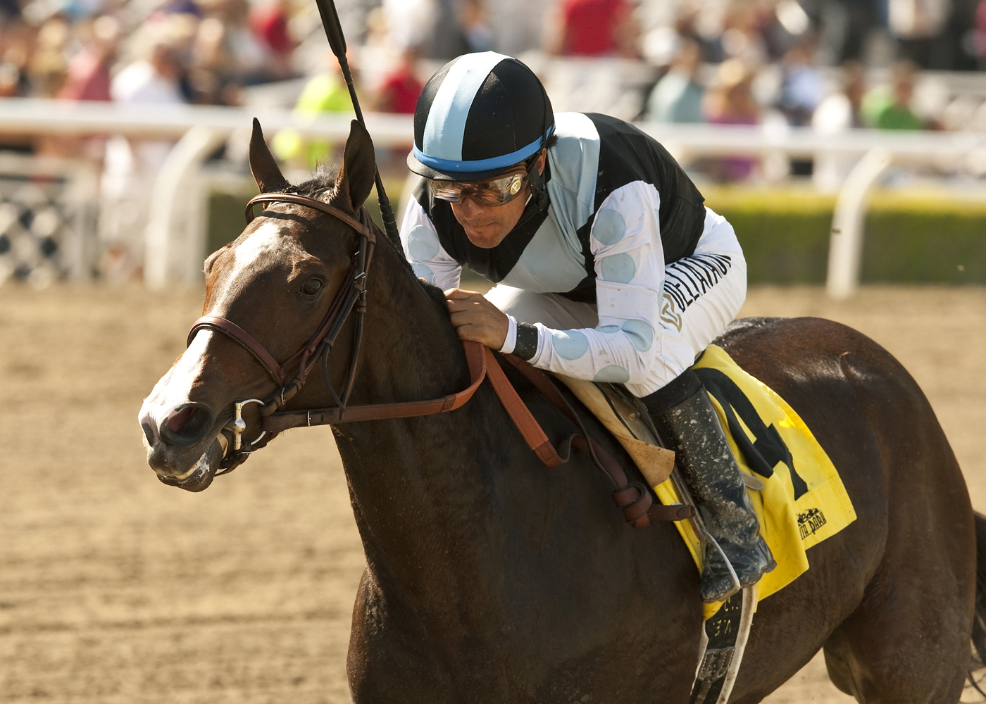 Bajan wins the Anokia Stakes