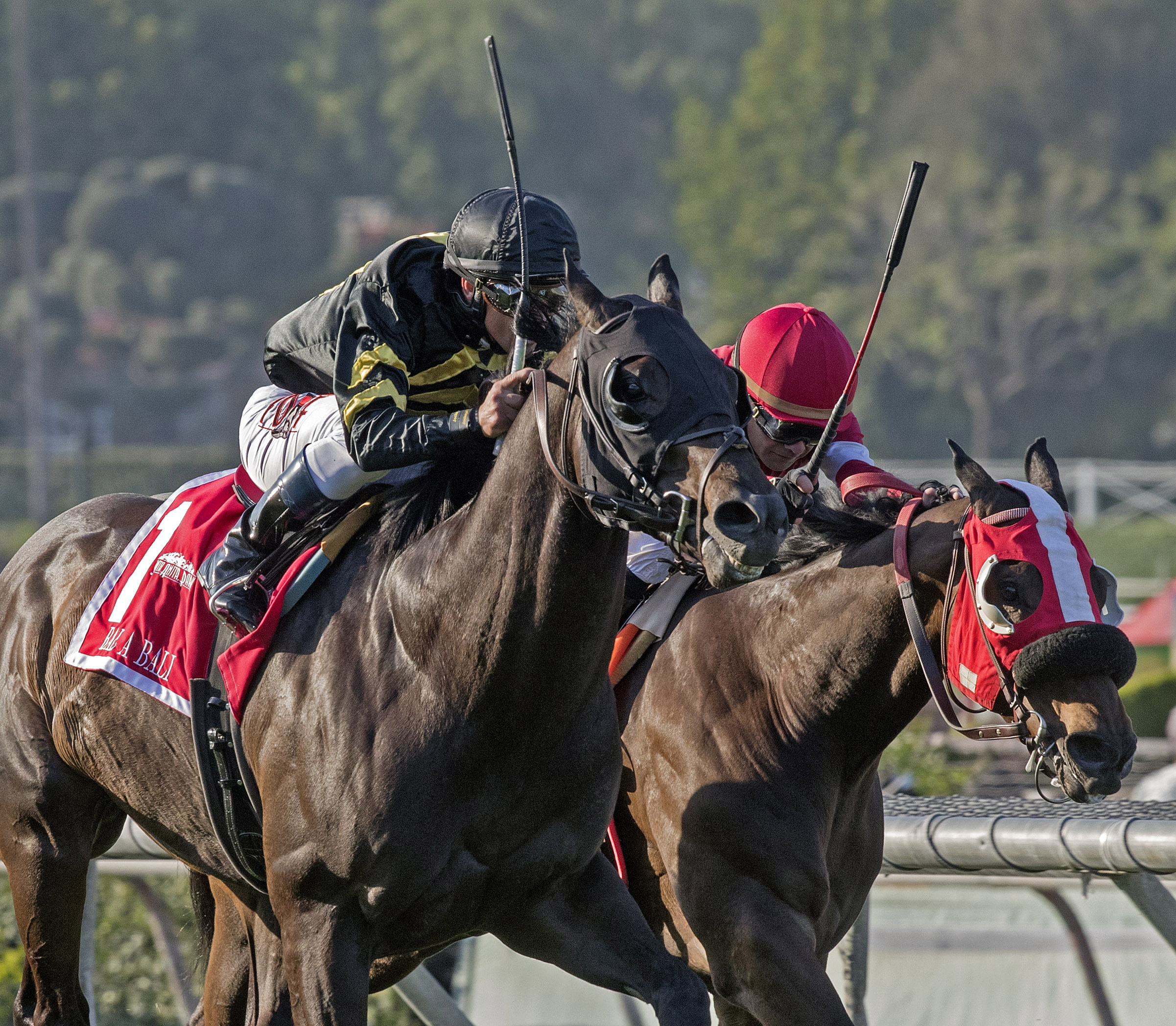 Bal a Bali wins the Frank Kilroe Mile