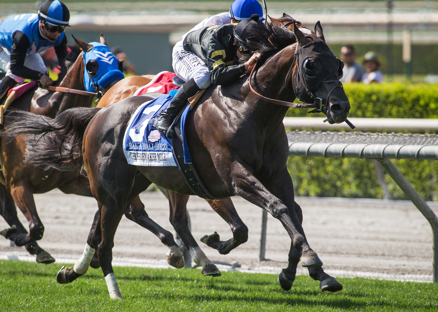 Bal a Bali wins the 2017 Shoemaker Mile