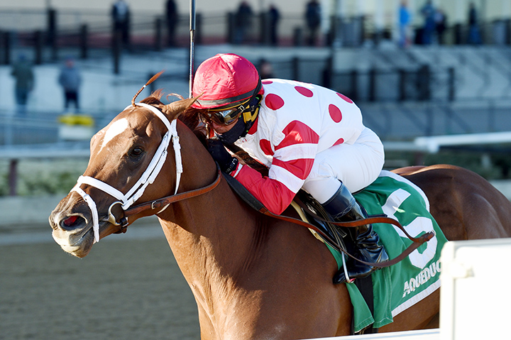 Bal Harbour wins the 2018 Gio Ponti Stakes at Aqueduct Racetrack