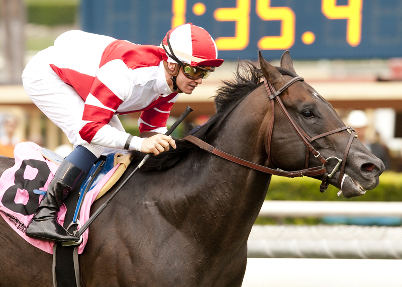 Bal a Bali wins 2015 American