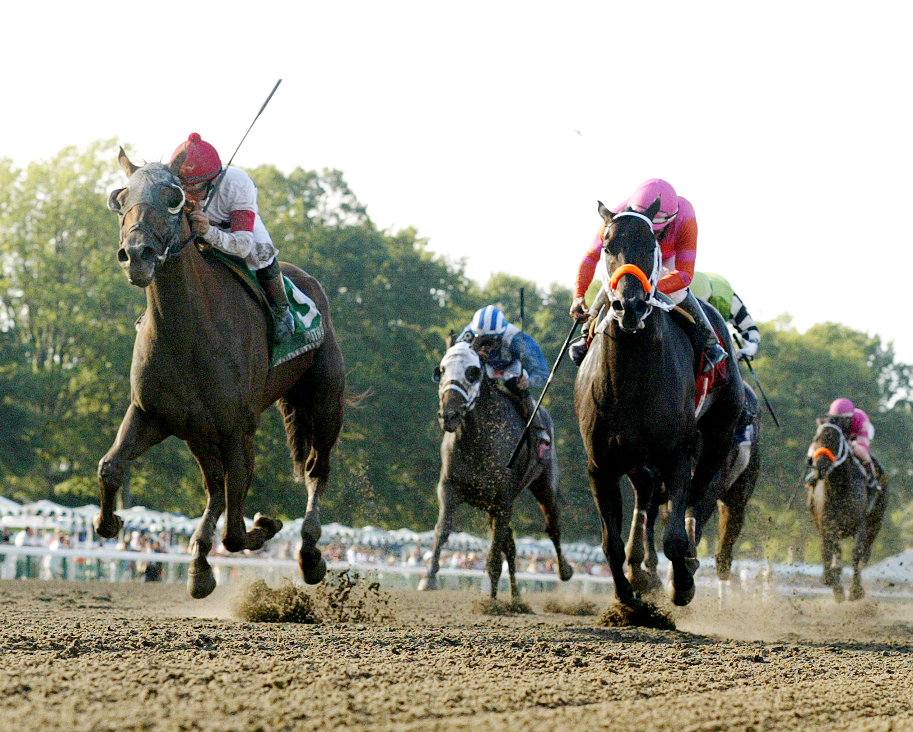 Pants on Fire finishes second in the Philip Iselin Stakes