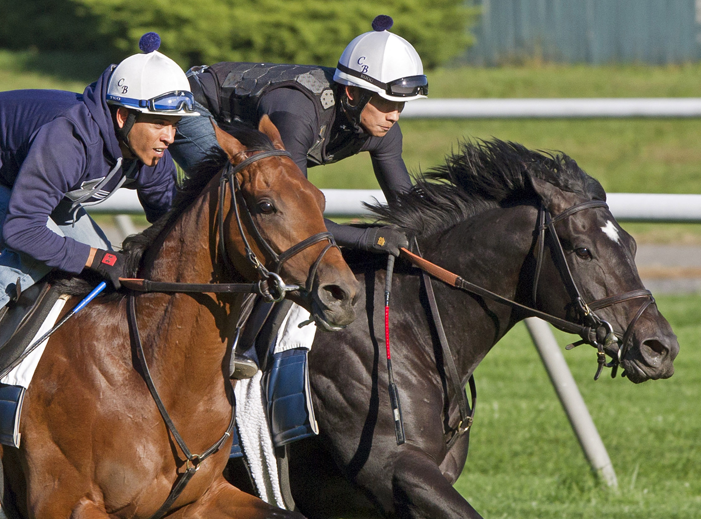 Balance the Books (left), Noble Tune, October 2012