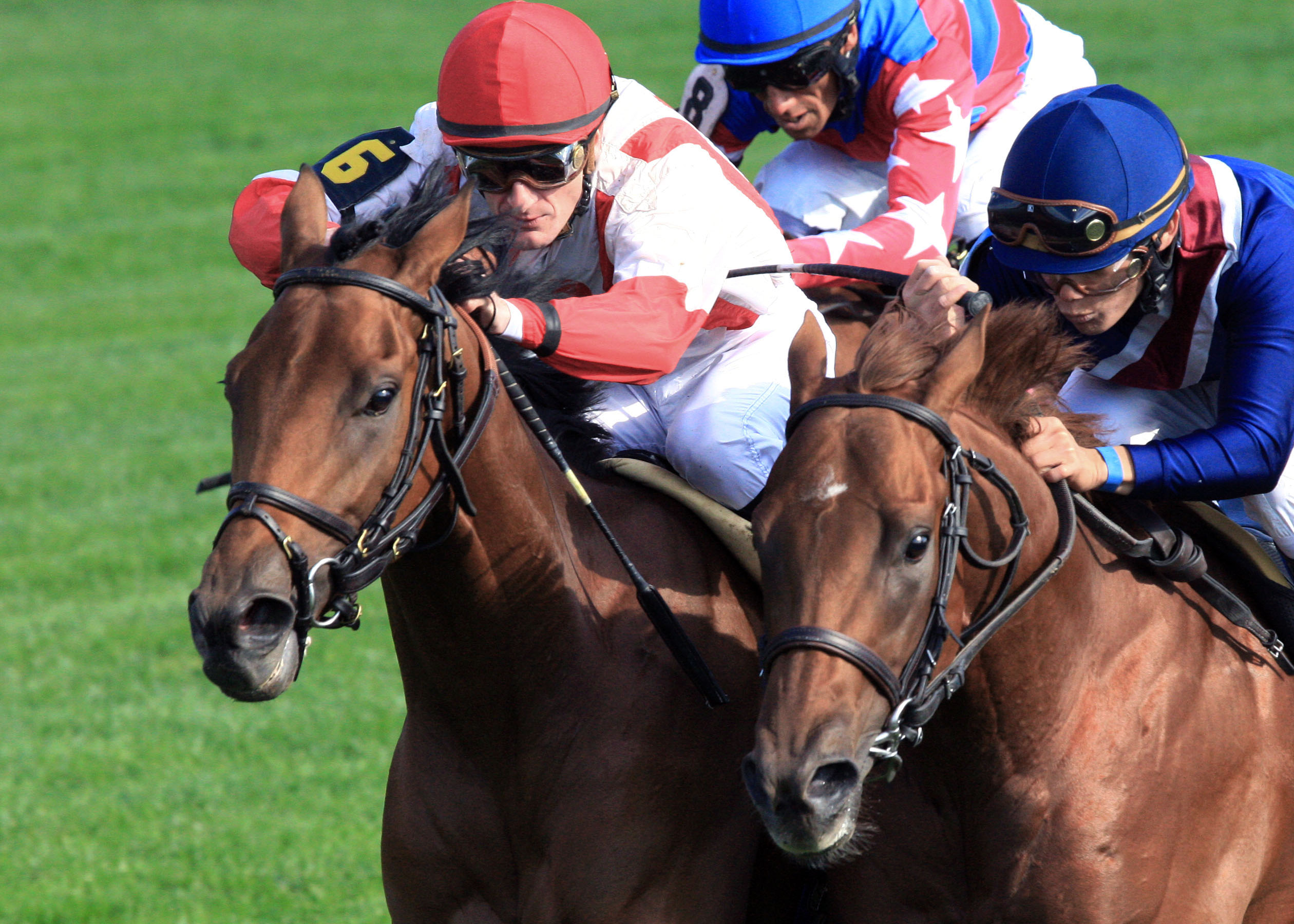 Balance the Books, Bourbon Stakes
