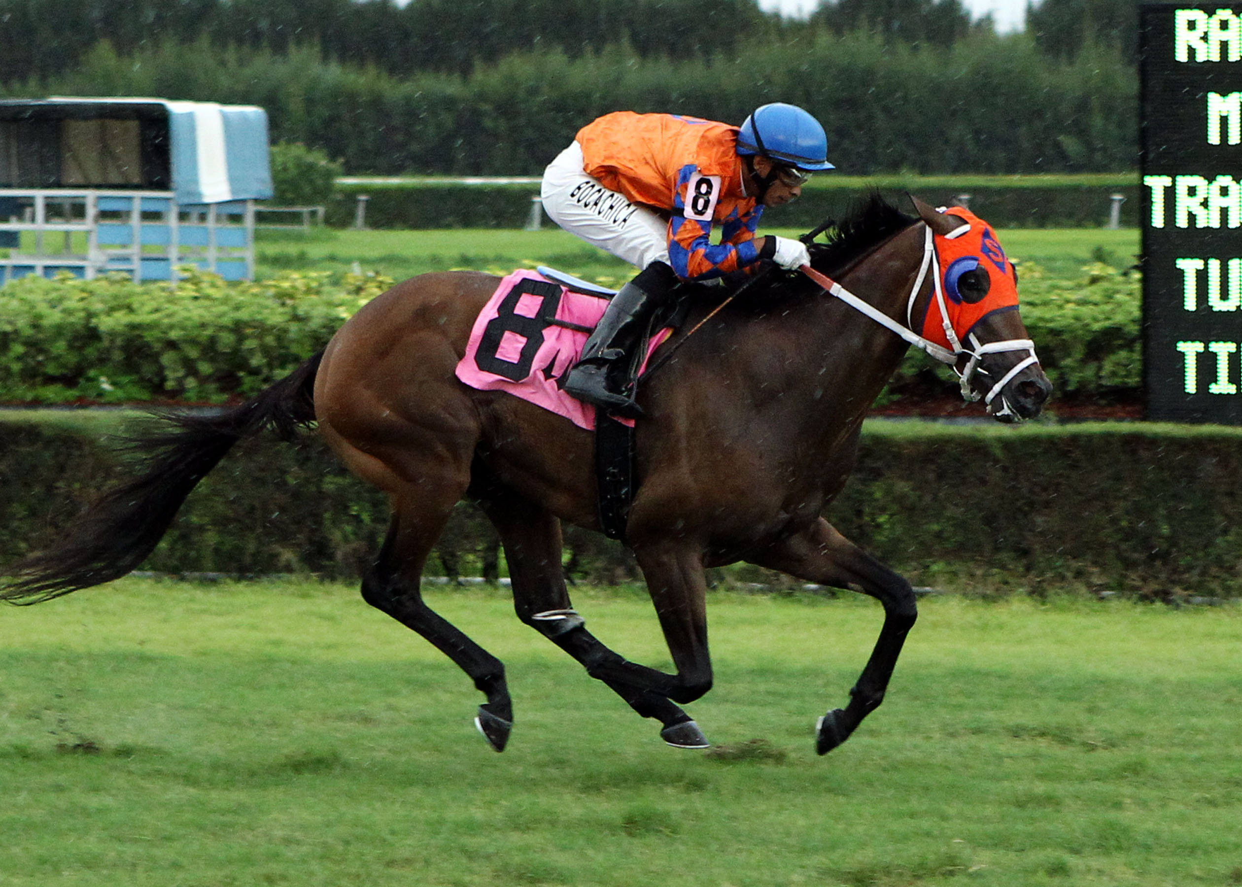 Balino 8-3-2013