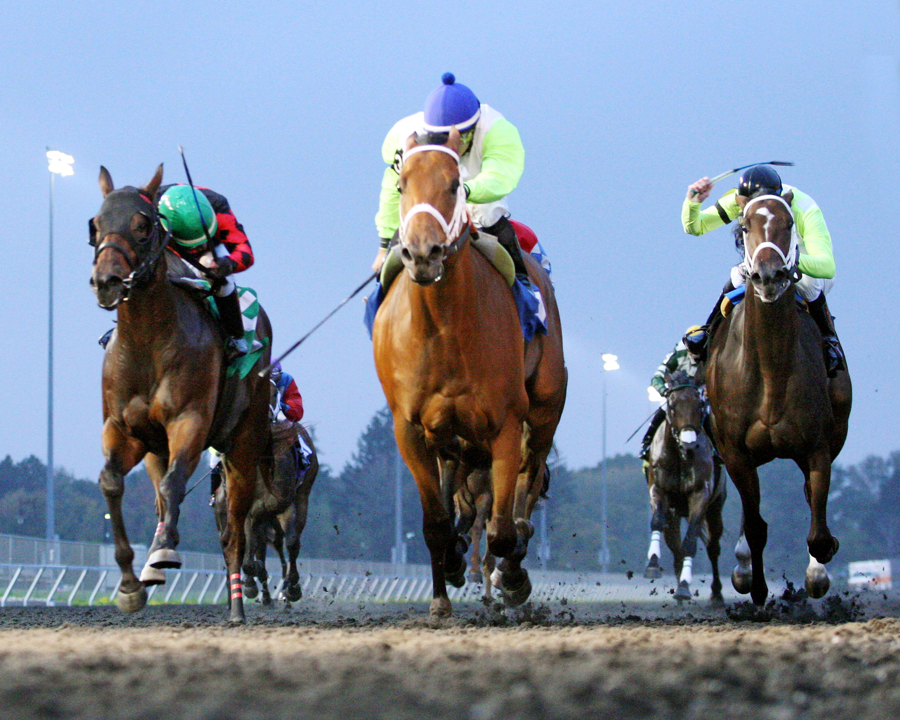 Balk wins the Fitz Dixon, Jr. Memorial Juvenile Stakes