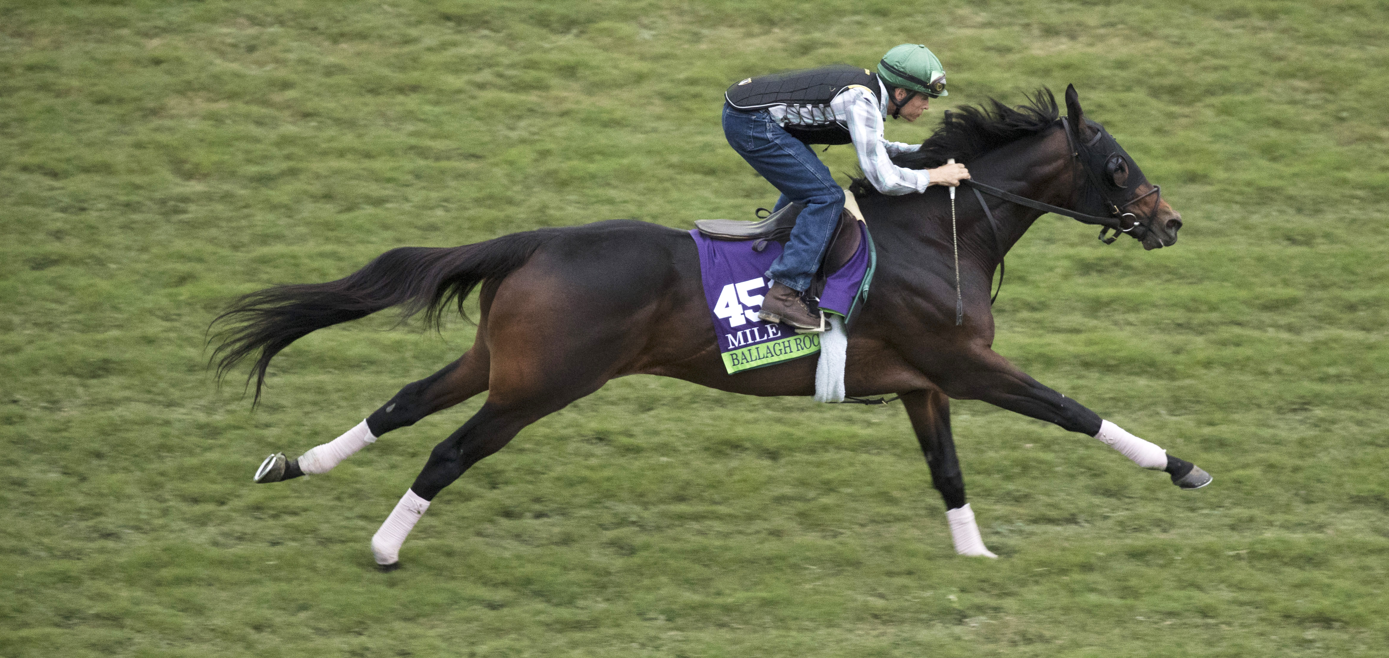 Ballagh Rocks trains at Del Mar on Oct. 30