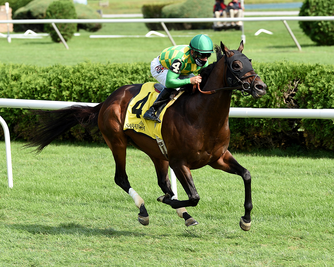 Ballagh Rocks wins the 2020 Lure Stakes at Saratoga Race Course