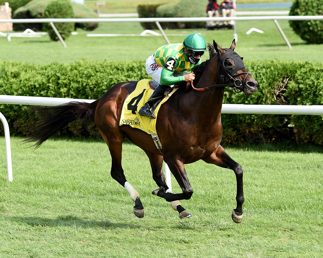 Ballagh Rocks wins the 2020 Lure Stakes at Saratoga Race Course