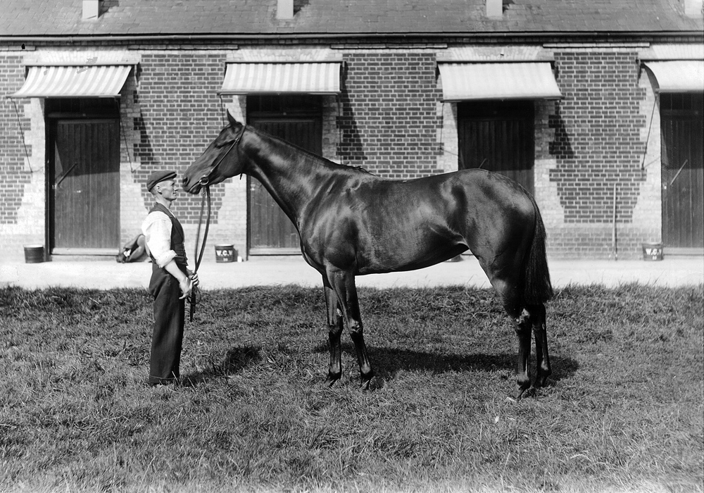 Ballantrae