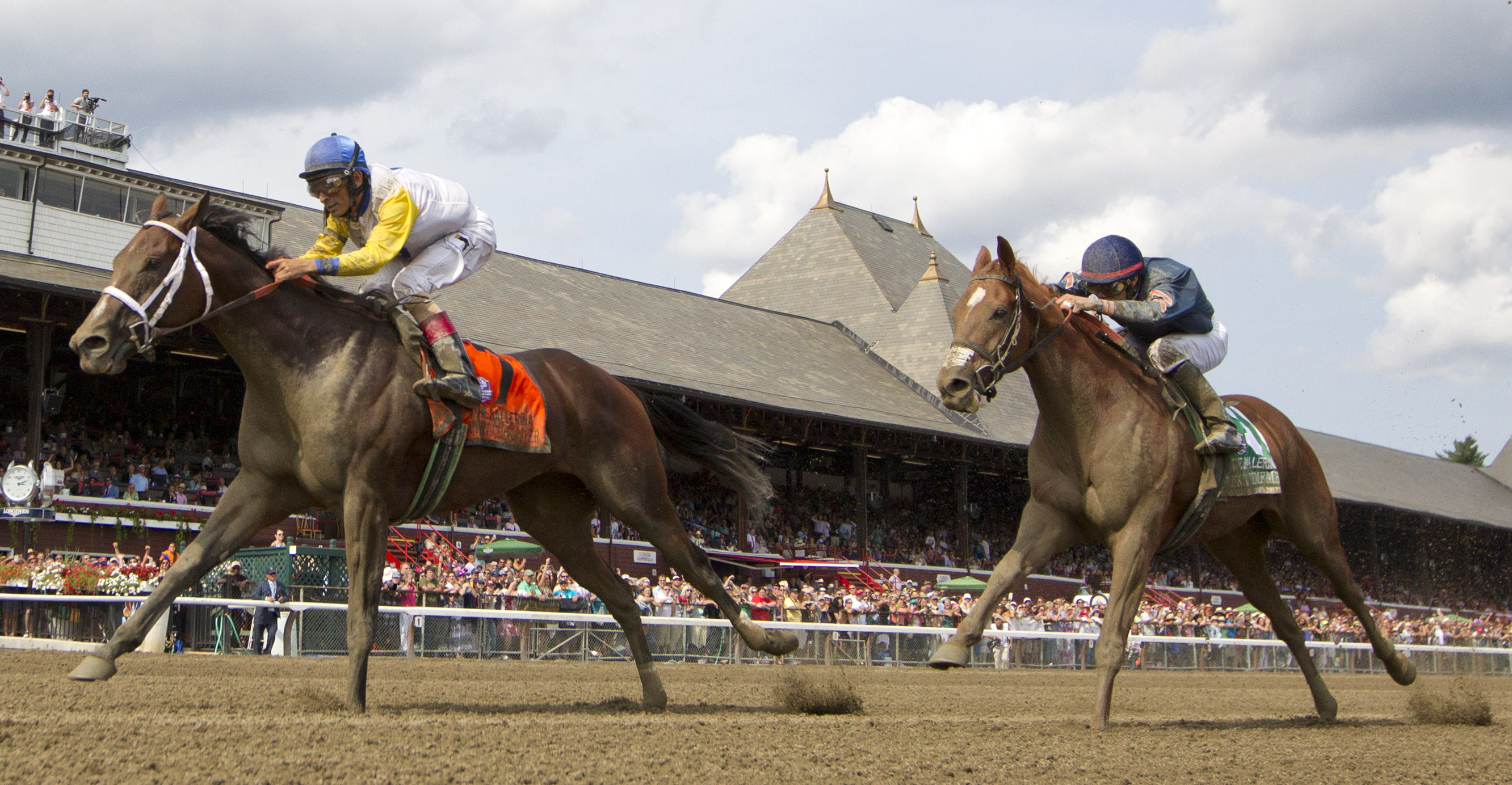 Unbridled Forever