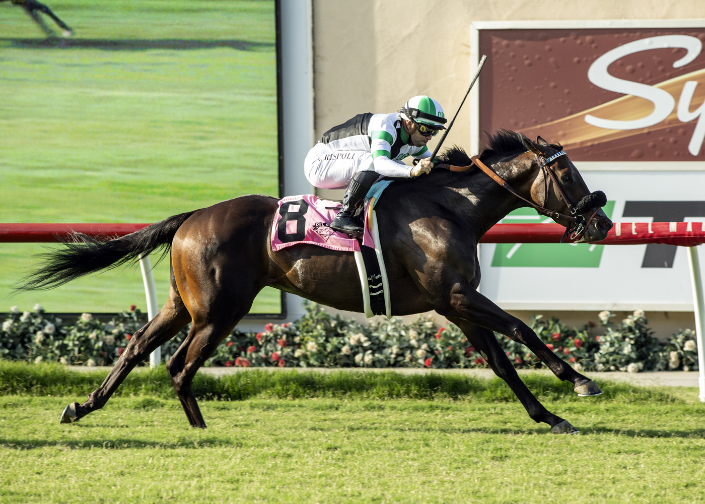 Balnikhov, Oceanside Stakes