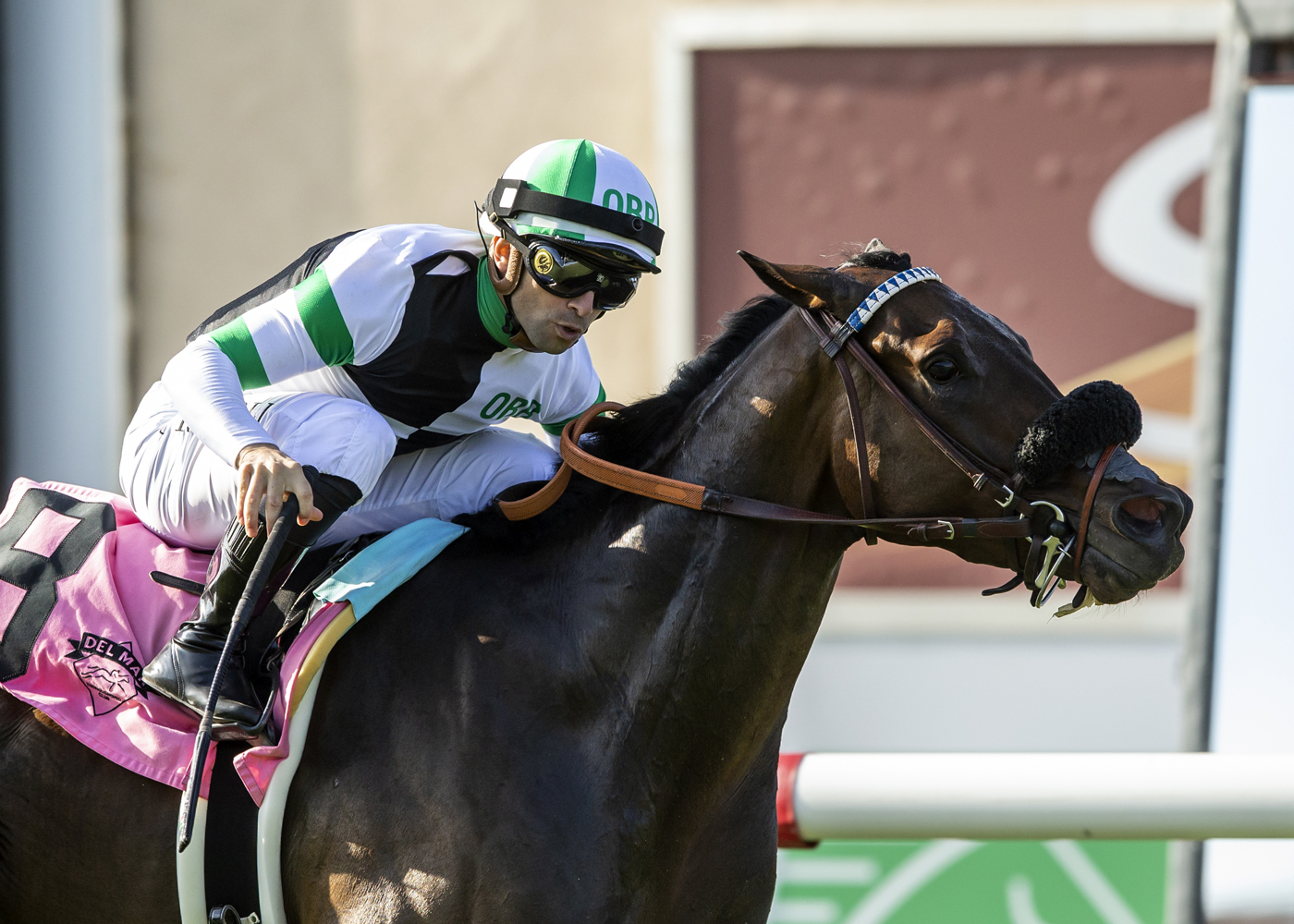 Balnikhov2, Oceanside Stakes