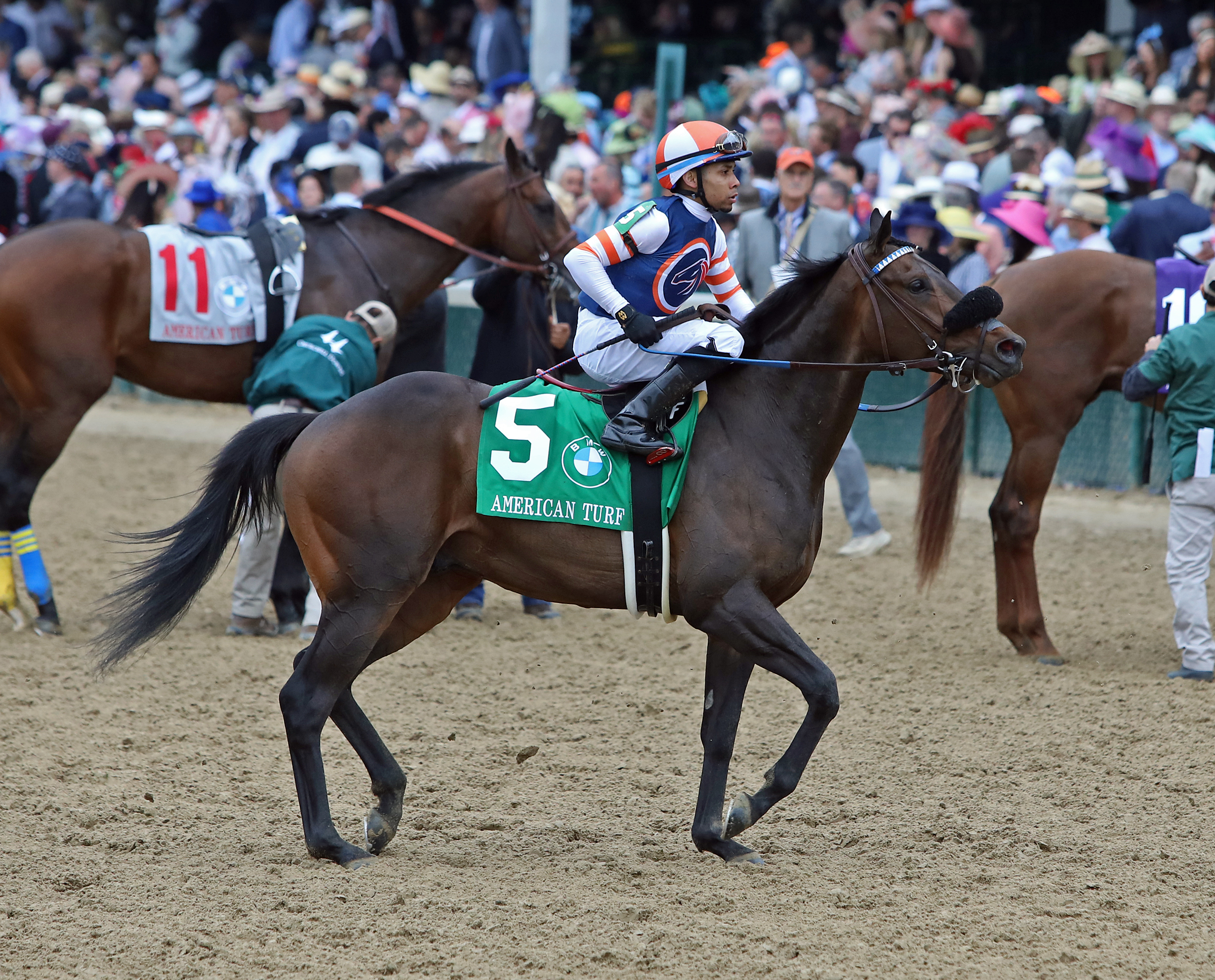 Balnikhov/American Turf