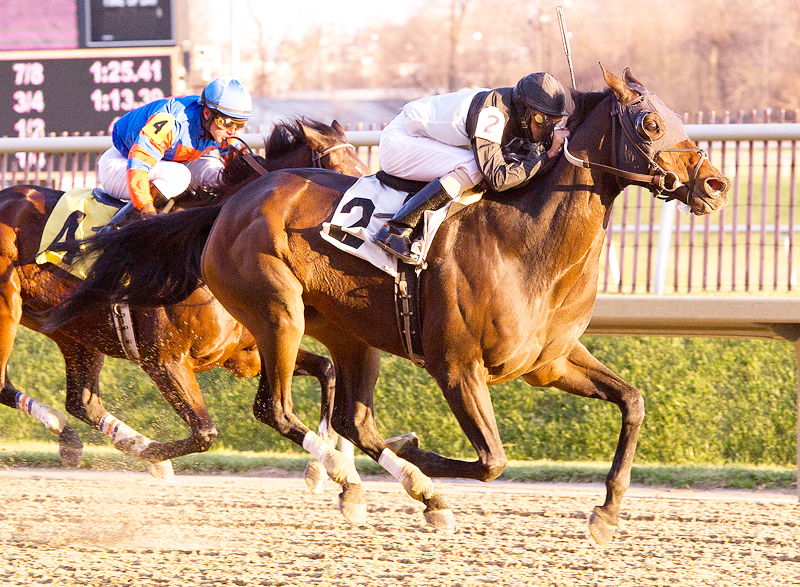 Baltimore Belle 12-10-2011