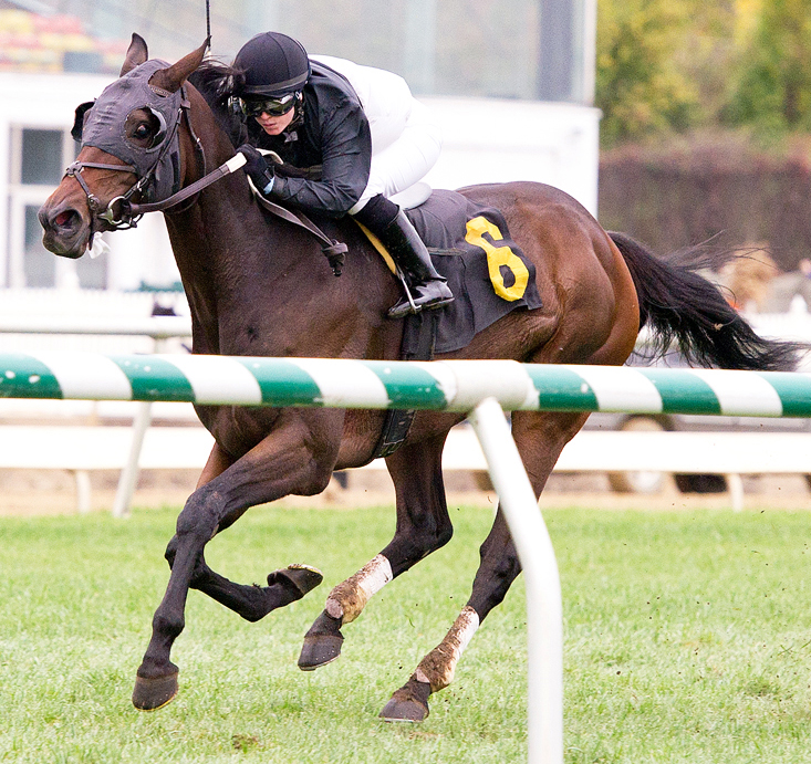 Baltimore Belle/Lady Baltimore